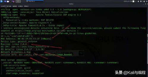 白帽黑客的偵察利器 Nmap實戰(zhàn)演示探測操作系統(tǒng)與系統(tǒng)服務